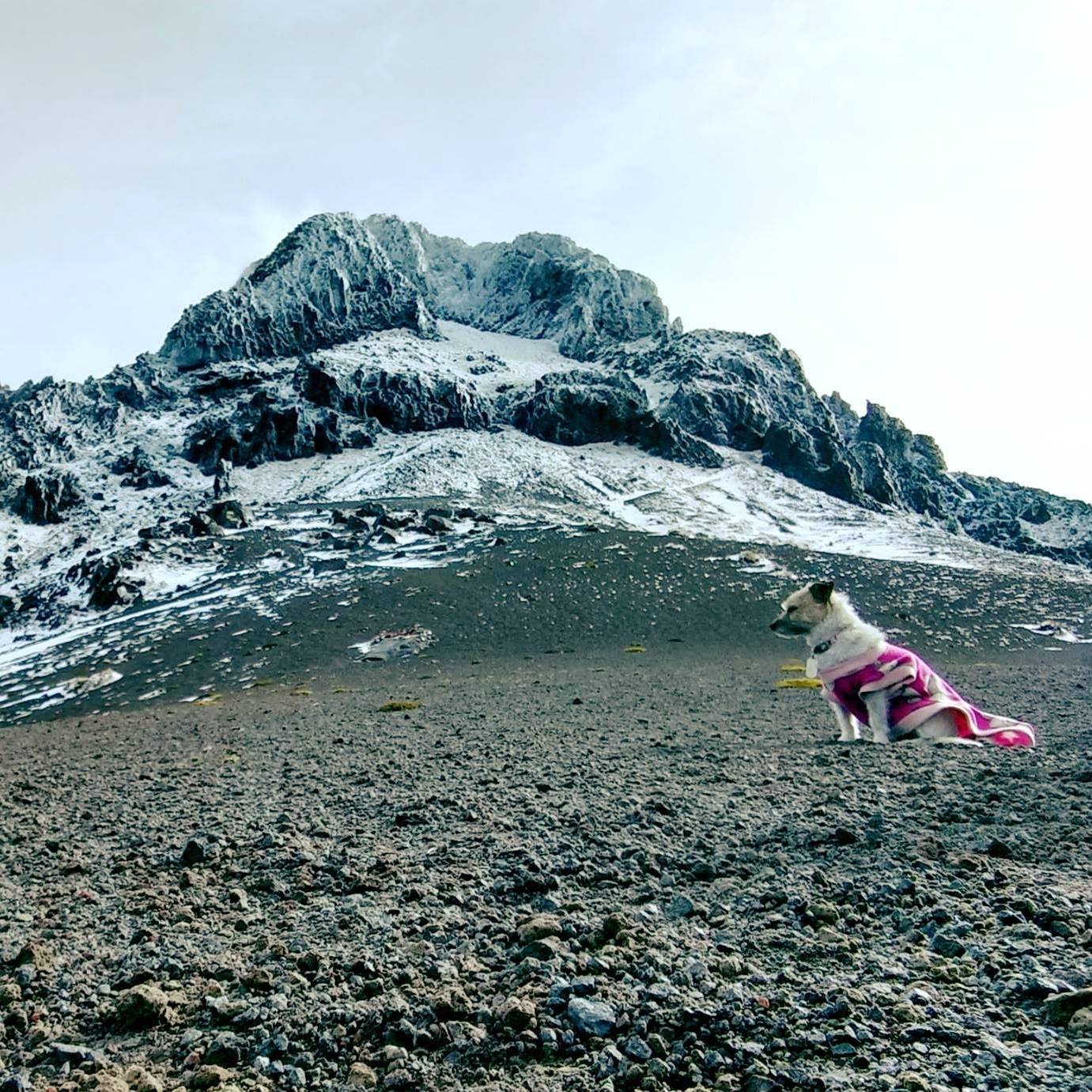 Mauricio Villavicencio 